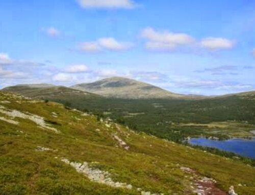 Grövelsjön: Boven de boomgrens van Noorwegen naar Zweden