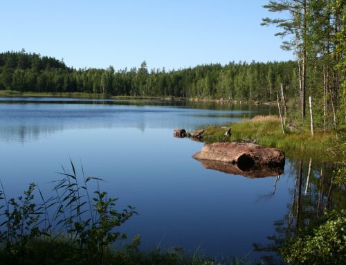 Wandelen in Västmanland: Bergen, meren en een oude ijzerfabriek
