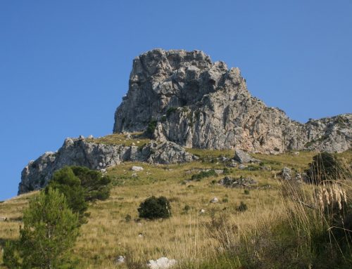 Tossals Verds, ‘klimwandeling’ in het hart van Mallorca