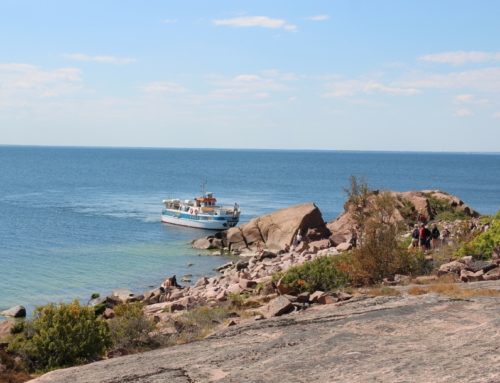 Blå Jungfrun: wandelen op een onbewoond eiland
