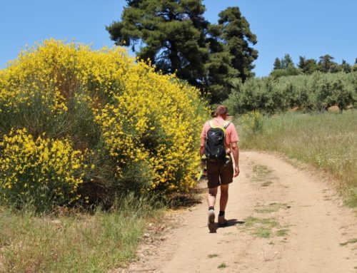 Chalkidiki: het zuiden van het schiereiland Kassandra