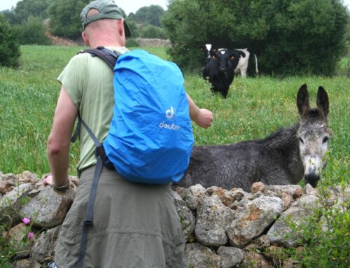 Op bezoek bij de boerderijdieren van Menorca