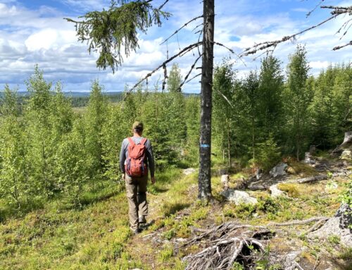 Finnskogleden: 28 km aan de Noorse kant van de grens