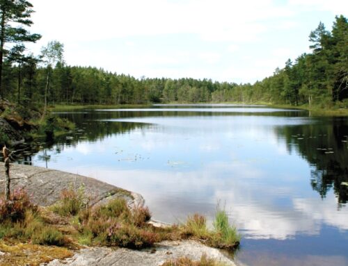 Tresticklan: wandelen in het mooiste nationale park van west-Zweden