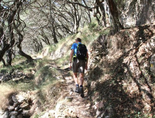 Corfu: De paden op, de bergen in