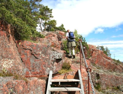 Norrfällsviken: rotsplateau aan de Hoge Kust