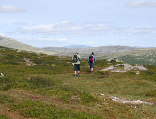 Wandelen in Dalarna: vijf favoriete tochten